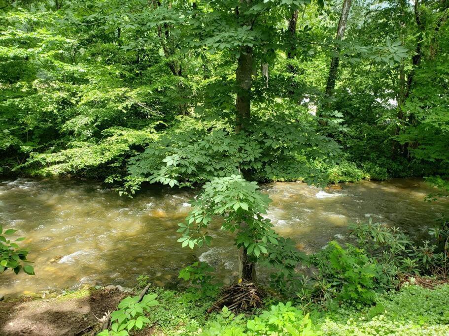 J.Creek Retreat, Creekside Townhouse +1 Car Garage Villa Maggie Valley Exteriör bild